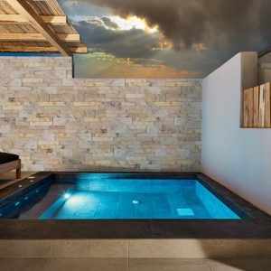 INDIAN_AUTUMN_INSTALL-600×600